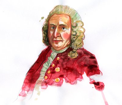 Portrait de Carl von Linné (1707-1778) naturaliste suédois - Alessandro Lonati
