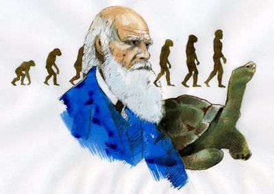 Portrait de Charles Darwin - Portrait du naturaliste anglais Charles Darwin (1809-1882) Illustration - Alessandro Lonati