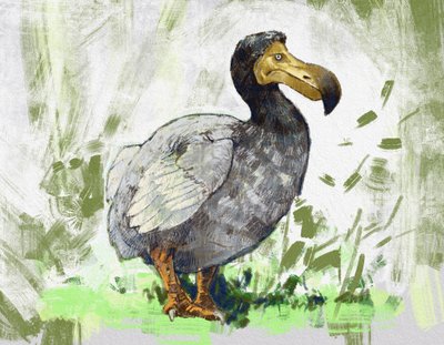 Représentation du dodo éteint (illustration) - Alessandro Lonati