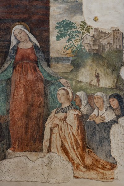 Notre-Dame de la Miséricorde et le Bienheureux Isnardo da Chiampo (détail) - Alessandro Verla
