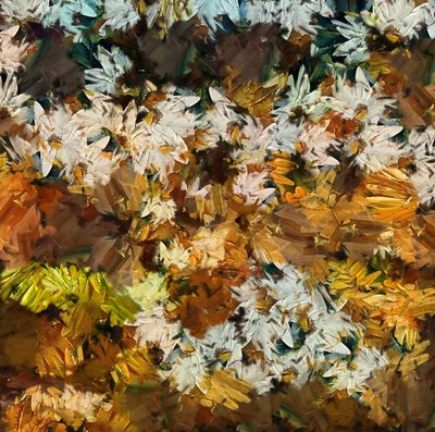 Camomille - Alex Caminker