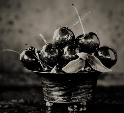Cerises, 2019 - Alex Caminker