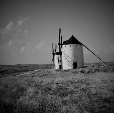 Sans titre - Alex Caminker