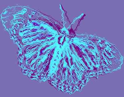 Papillon, 2020 - Alex Caminker