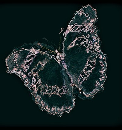 Papillon II, 2020 - Alex Caminker