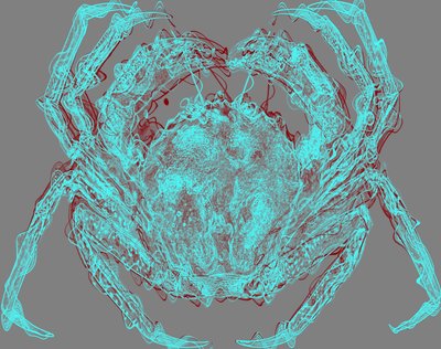 Crabe, 2020 - Alex Caminker