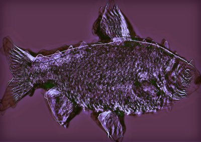 Poisson, 2020 - Alex Caminker