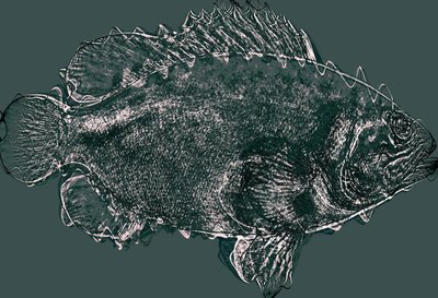 Poisson en vert, 2020 - Alex Caminker