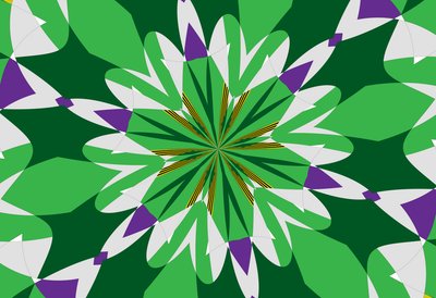 fleurs #25 - Alex Caminker
