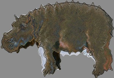 Hippopotame, 2020 - Alex Caminker