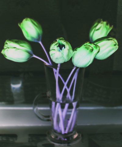 réfraction de la lumière, 2019 - Alex Caminker