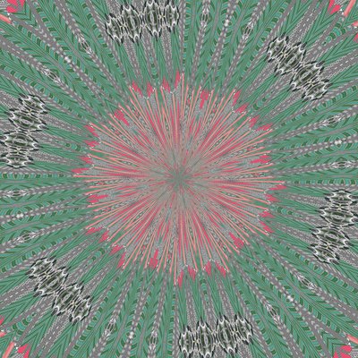 symétrie #31 - Alex Caminker