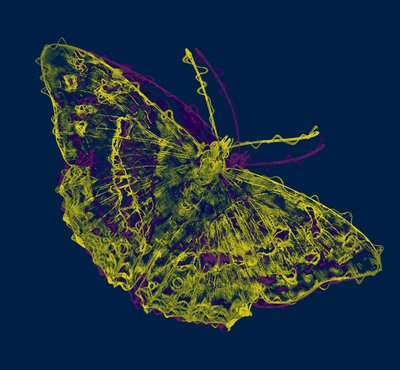 Papillon jaune, 2020 - Alex Caminker