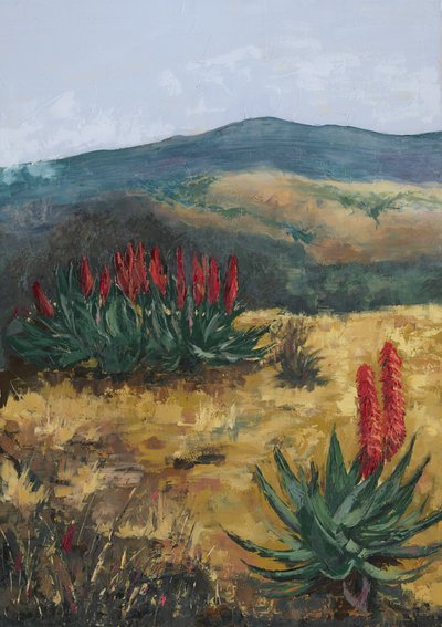 Aloès rouges de Desert Hills - Alex Cornell