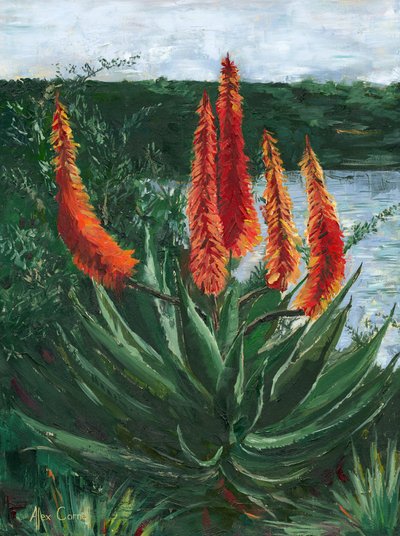 Le lac Aloe, plein de vie - Alex Cornell