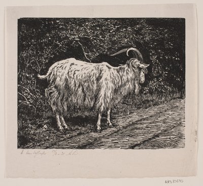 Un bouc - Alexander Blom