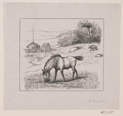 Nordbakke - Alexander Blom