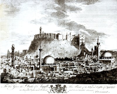 Vue de la ville et du château d