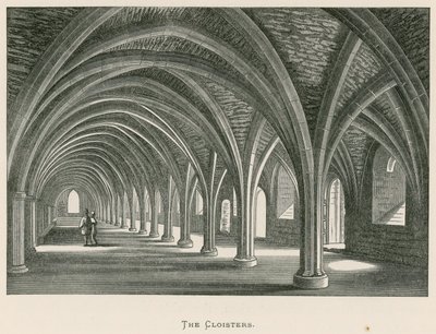 Abbaye de Fountains, Les Cloîtres - Alexander Francis Lydon