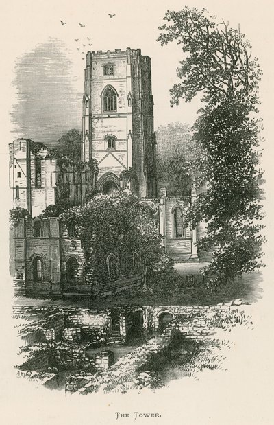 Abbaye de Fountains, La Tour - Alexander Francis Lydon