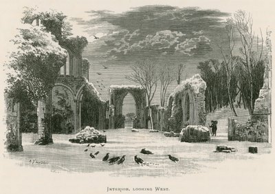 Abbaye de Netley, intérieur, vue vers l