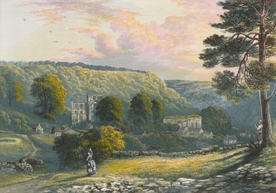 Abbaye de Rievaulx - Alexander Francis Lydon