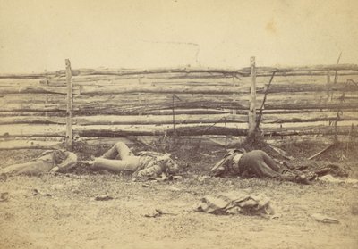 Vue dans le champ, du côté ouest de la route de Hagerstown, après la bataille d