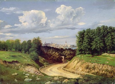 Vue de Tallinn - Alexander Georg Schlater