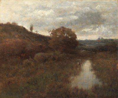 Paysage et piscine d