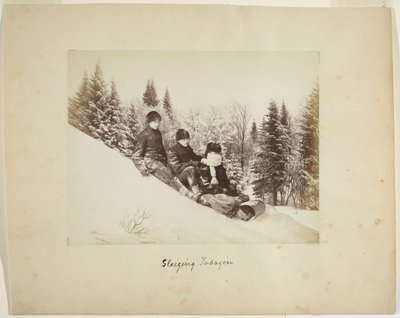 Luge, vers 1873 - Alexander Henderson