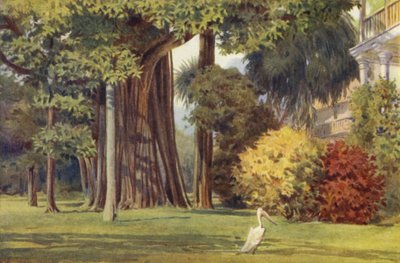 La Maison de la Reine, Colombo - Alexander Henry Hallam Murray