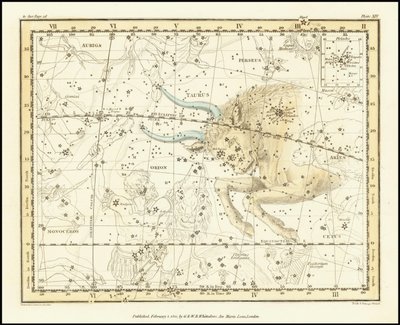 1822 - Alexander Jamieson - Taureau - Alexander Jamieson