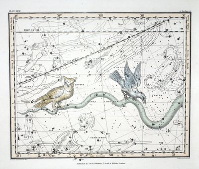 Les Constellations (Planche XXVII) Hydra Continua, Crater, Covus, Centaurus et Lupus, de 