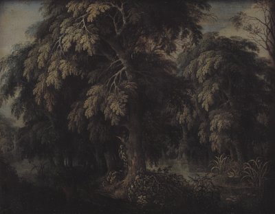 Paysage boisé - Alexander Keirincx