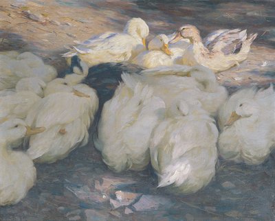Dans le soleil couchant - Alexander Koester