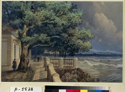 Vue de la terrasse du palais Monplaisir, palais de Peterhof - Alexander Matveyevich Dorogov