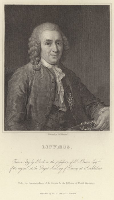 Linné - Alexander Roslin