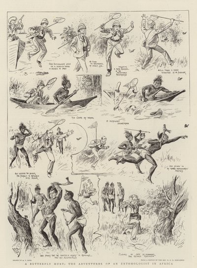 Chasse aux papillons, les aventures d