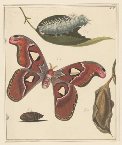 Études d