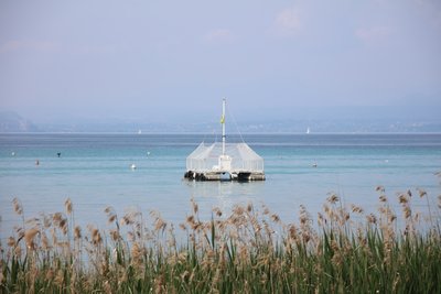 calme au lac - Alexandra Joseph