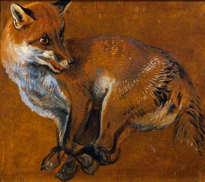 Renard aux pattes liées, par Alexandre-François Desportes, France - Alexandre Francois Desportes