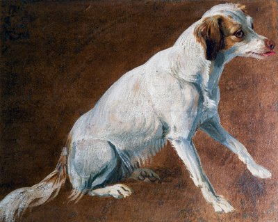 Ancêtre du Spaniel français, par Alexandre-François Desportes (1661-1743), France - Alexandre Francois Desportes