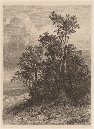 Bosquet d
