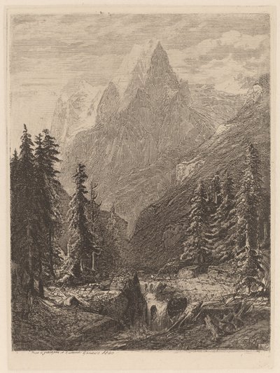 Prairie de montagne - Alexandre Calame