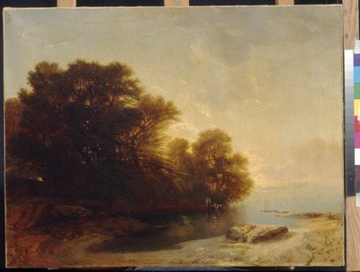 Arbres au bord du lac par Calame, Alexandre. Musée des Beaux-Arts Pouchkine, Moscou - Alexandre Calame