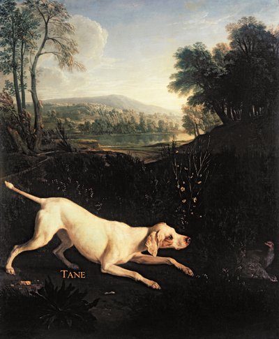 Le chien de Louis XIV, Tane - Alexandre Francois Desportes