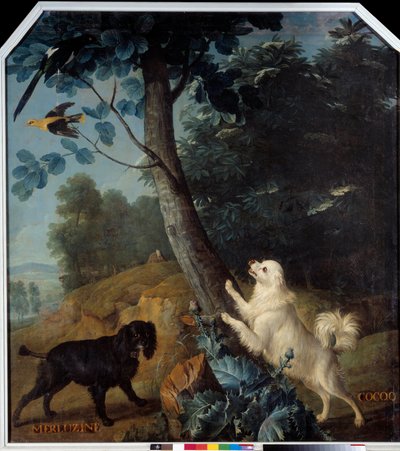 Merluzine et Cocoq, les chiens de Louis XIV (1638-1715) - Alexandre Francois Desportes
