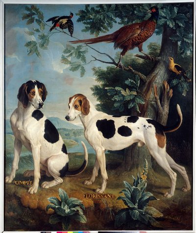 Pompee et Florissant, les chiens de Louis XIV (1638-1715) - Alexandre Francois Desportes