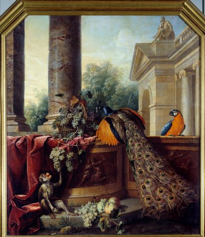 Nature morte avec paon, perroquet, singe et grappes de raisin - Alexandre Francois Desportes