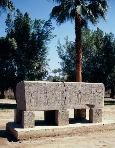 Égypte, Le Caire, Memphis antique, Sarcophage gravé - Nicolas Toussaint Charlet